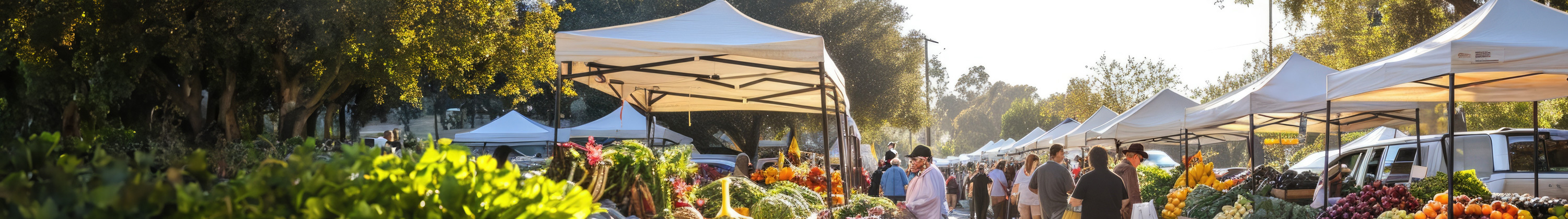 tonnelle pour marché de commerçants